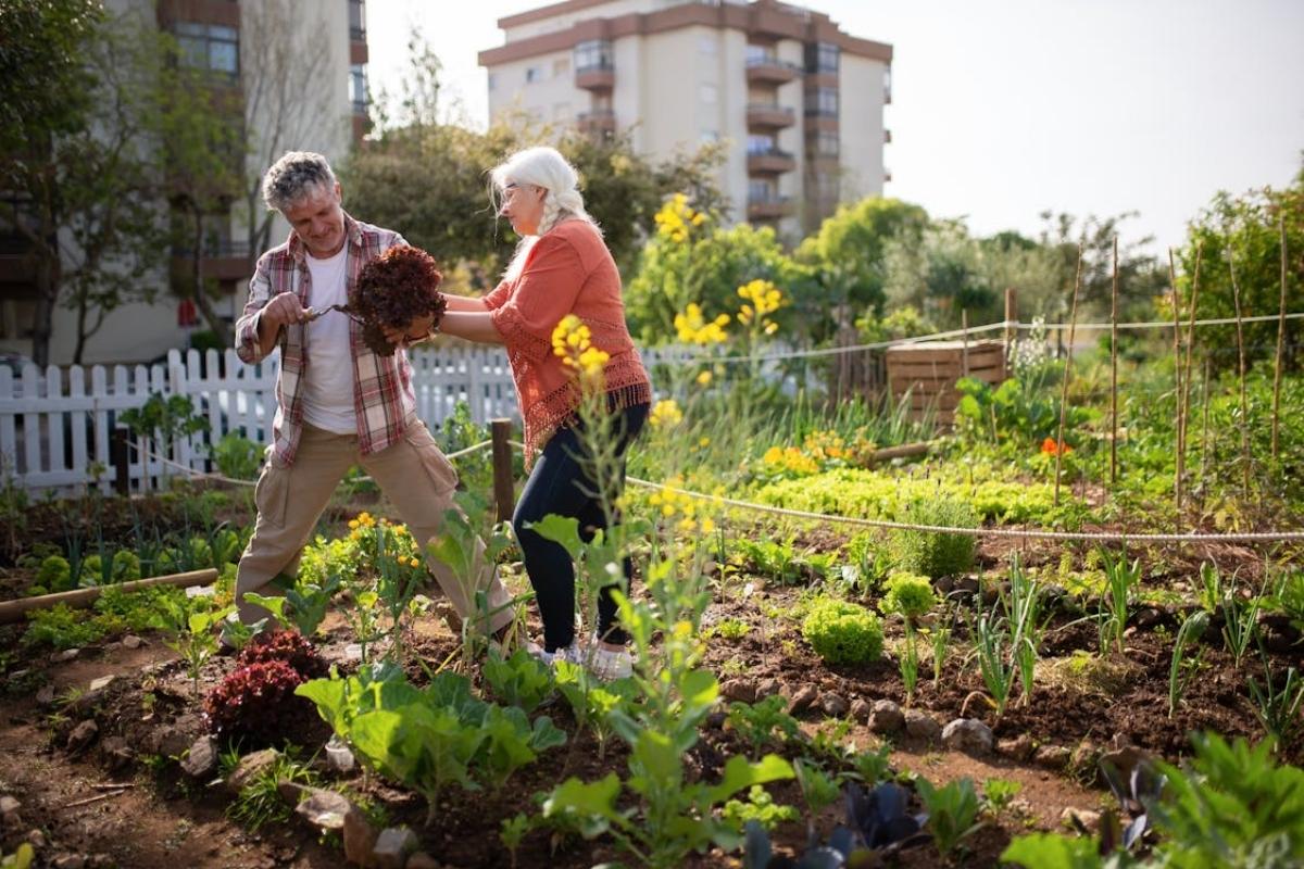 How to compare 55 and up communities near me for rent with comfortable and active senior living options