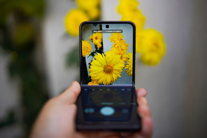 free galaxy z fold