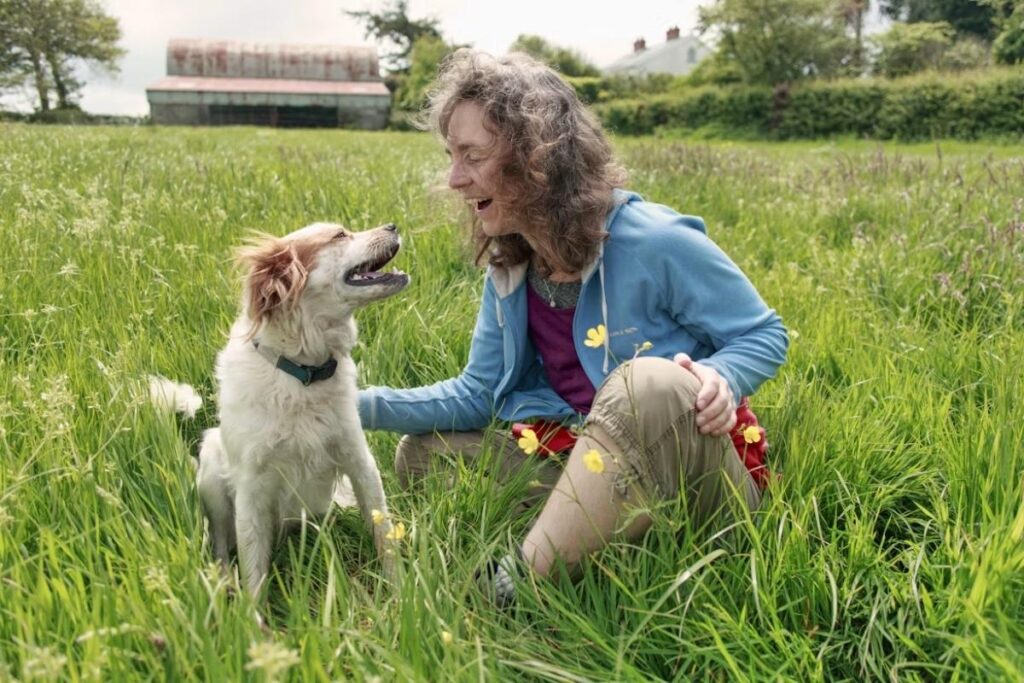 Best dogs for seniors featuring calm, affectionate, low-maintenance breeds that make wonderful companions